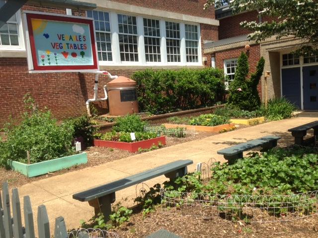 Venable schoolyard garden