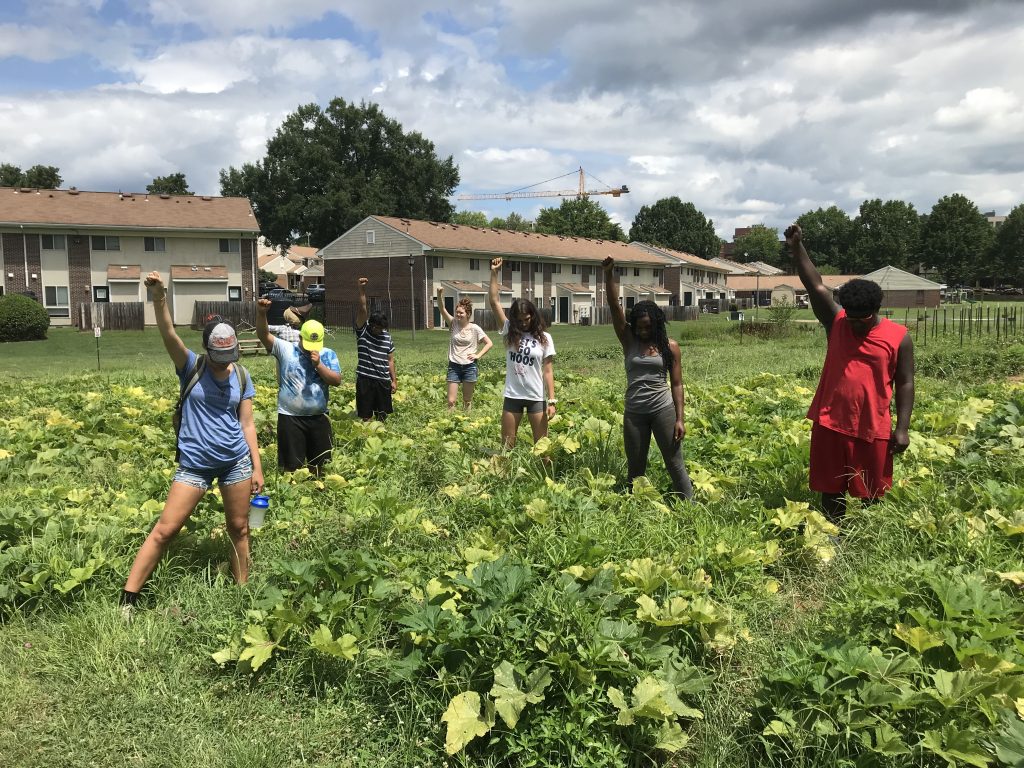 Charlottesville High School Garden