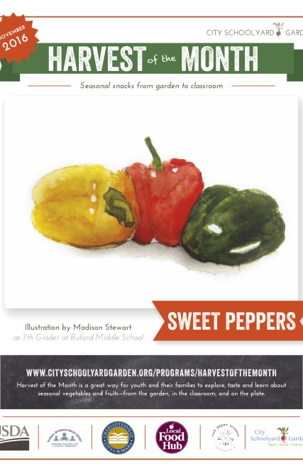 16-11 Sweet Peppers