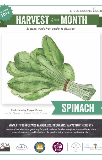 16-12 Spinach