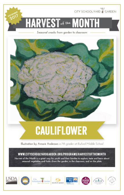 17-11 Cauliflower