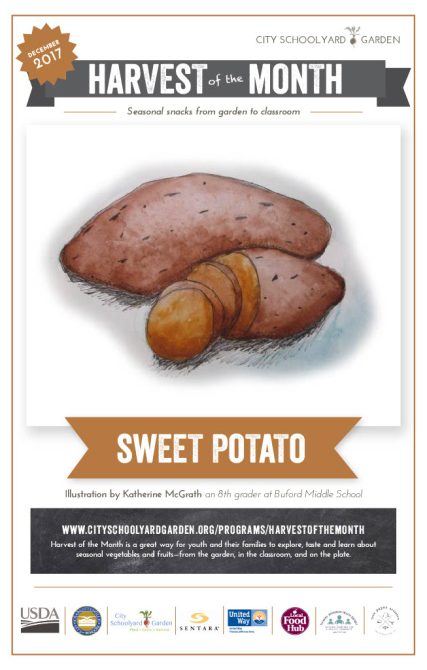 17-12 Sweet Potato