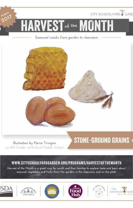 17-3 Stone Ground Grains