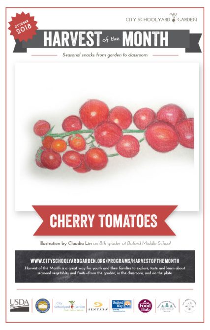 18-10 Cherry Tomato