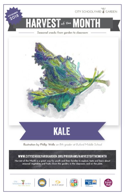 18-11 Kale