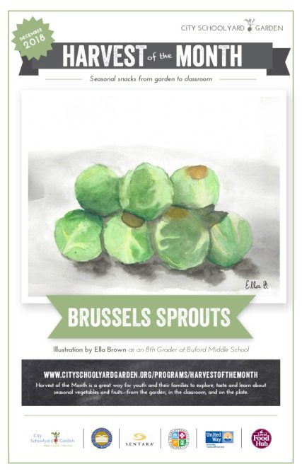 18-12 Brussel Sprouts