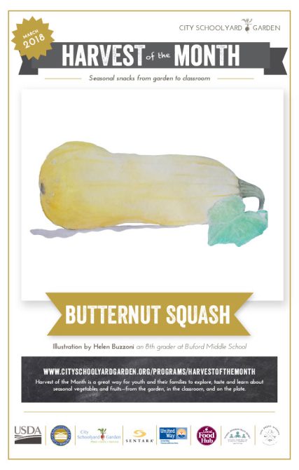 18-3 Butternut Squash
