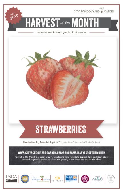 18-5 Strawberries