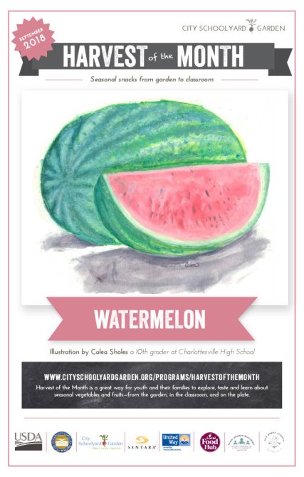 18-9 Watermelon