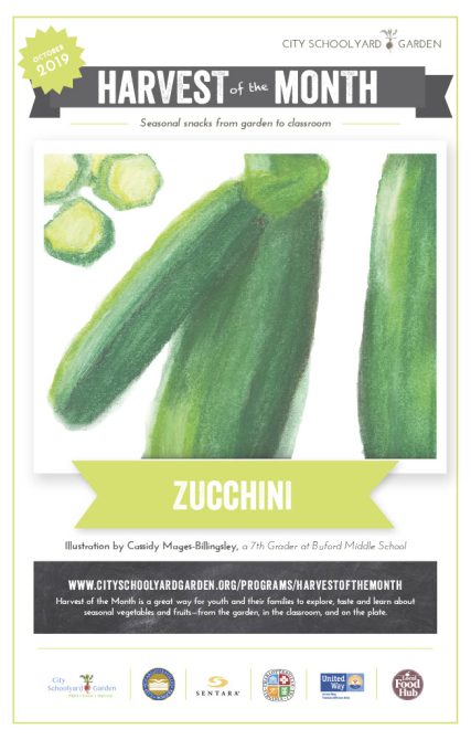 19-10 Zucchini