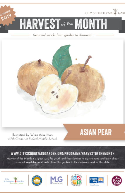 19-11 Asian Pears