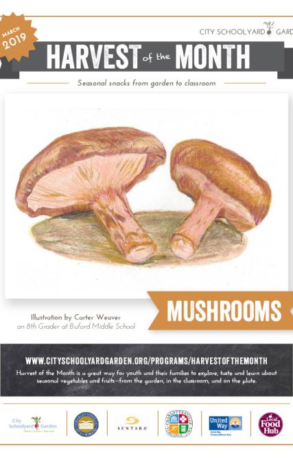 19-3 Mushrooms