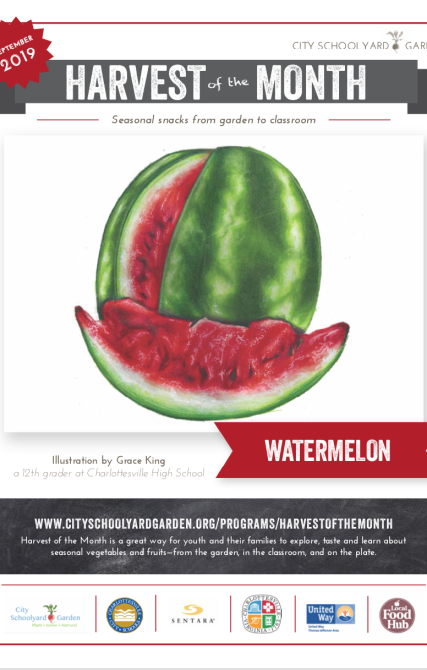 19-9 Watermelon