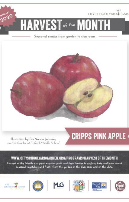 20-1 Crisp Pink Apples