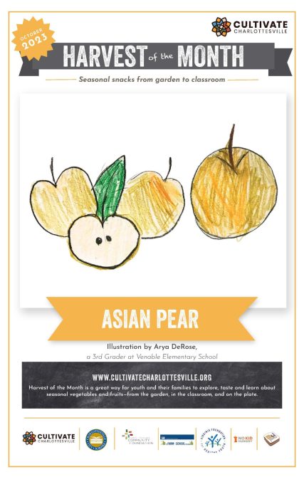 Asian Pear 23 Poster