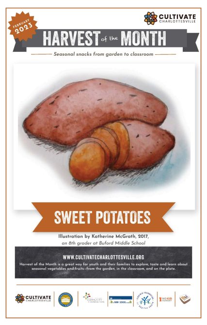 FEB23 Sweet potato poster