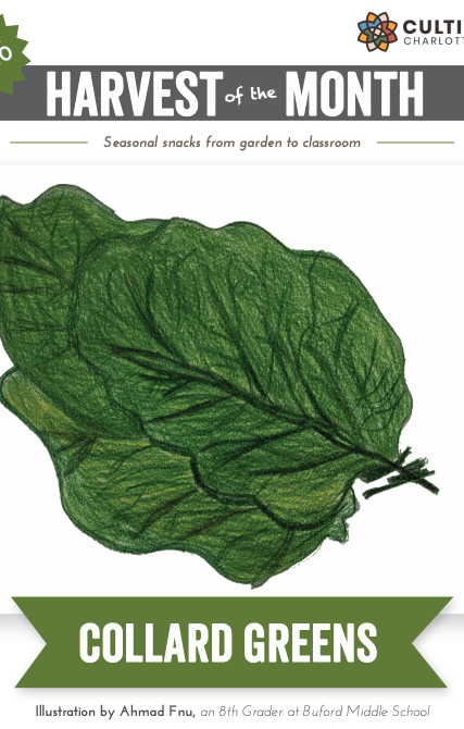 FY20 OCT Spinach Poster