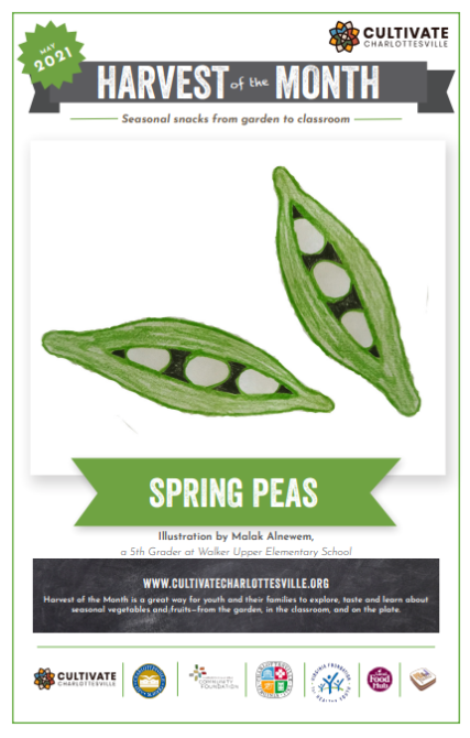 FY21MAY Pea Pods Poster