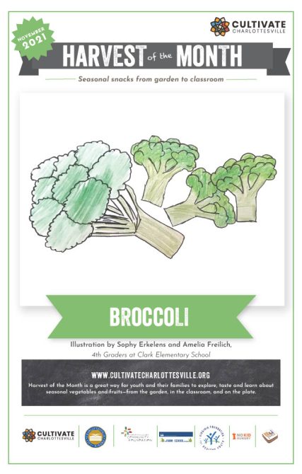 NOV21 Broccoli Poster