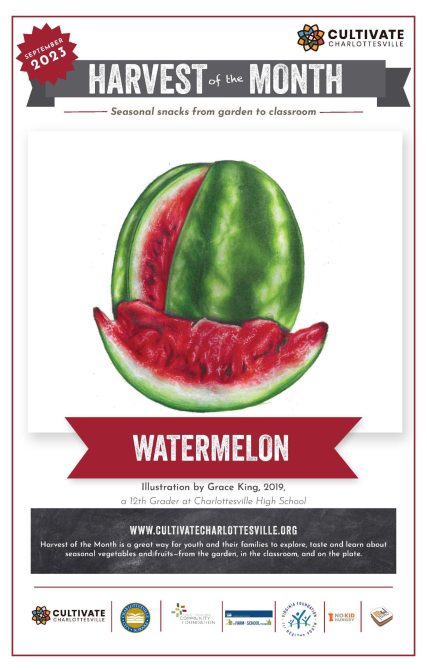 Watermelon 23 Poster